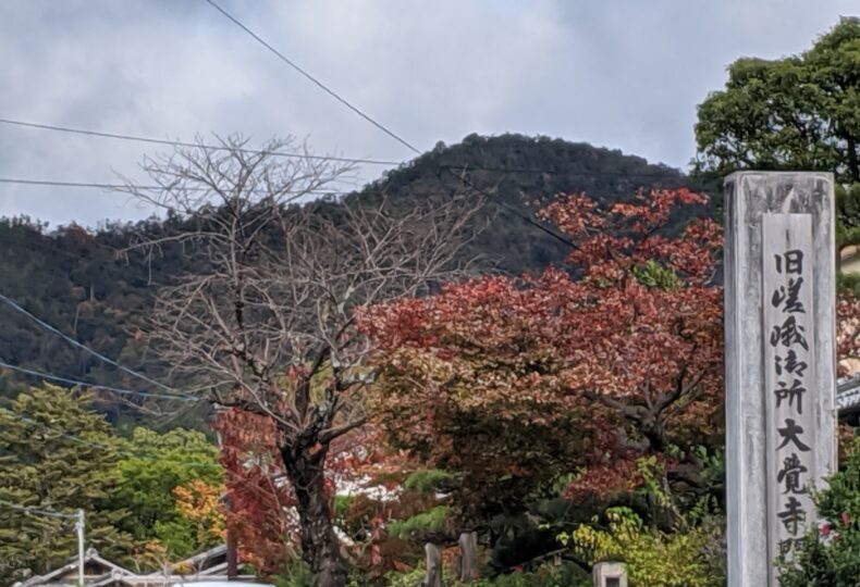 奥嵯峨野